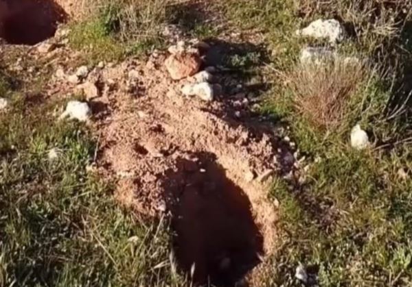 Excavaciones ilegales en el yacimiento de El Castellón en Vélez Rubio