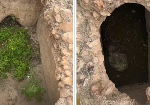 El Ejido: denuncian el deterioro de las tumbas romanas y piden su restauración urgente