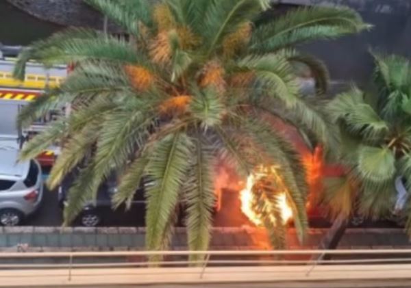 Arde un coche en el Parque Nicolás Salmerón