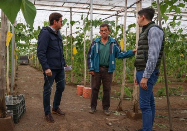 El Ayuntamiento de El Ejido muestra su rechazo a la Orden de módulos aprobada por el Gobierno al dejar fuera a la mayoría de los cultivos hortícolas de la rebaja fiscal